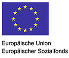 EU-Flagge_140